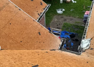 Professional Roofing Services